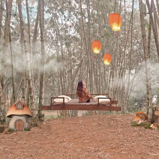 A quiet bamboo grove with a swing and floating lanterns